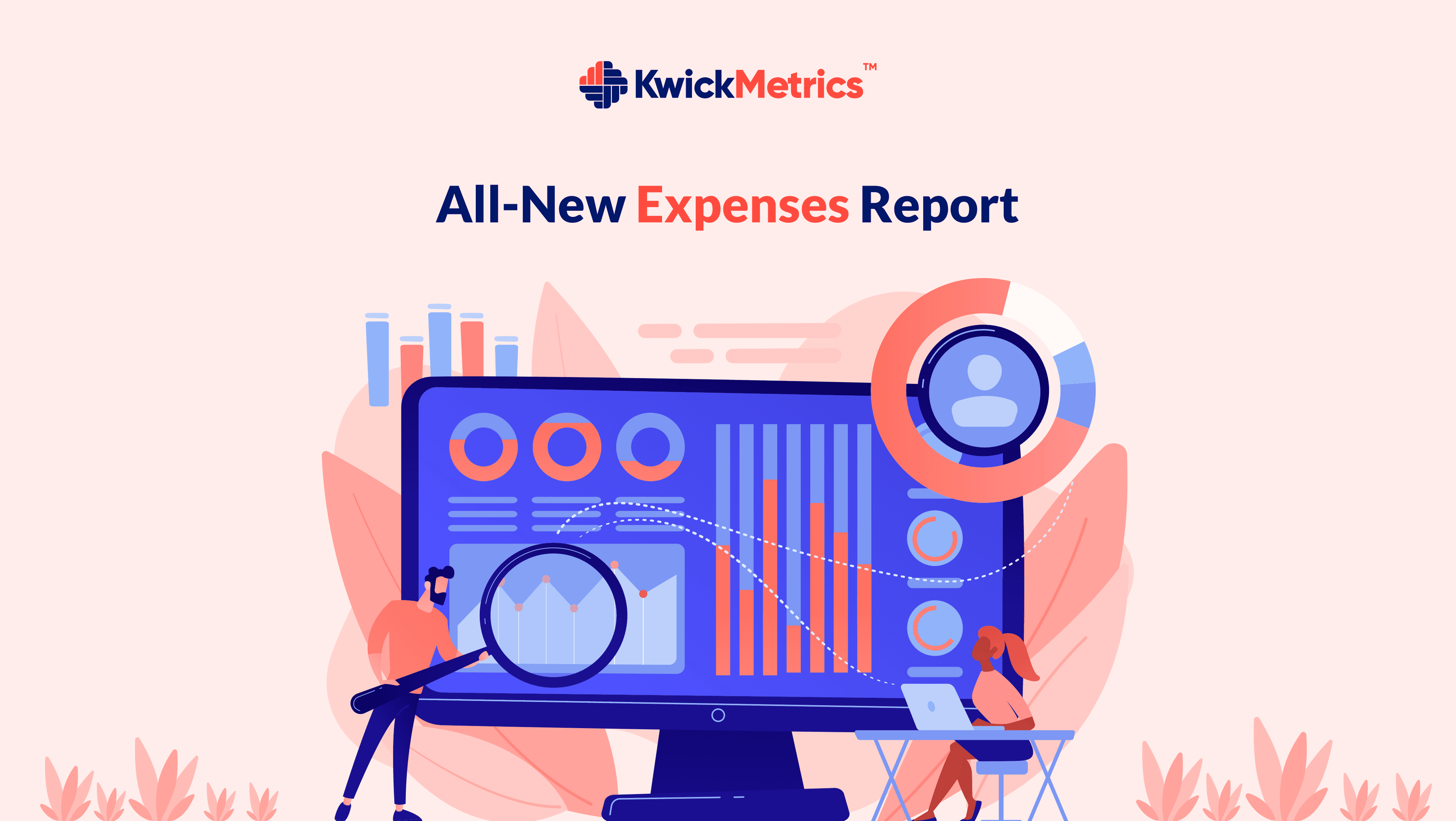 how-to-use-the-all-new-expenses-report